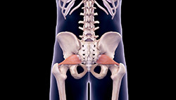 Piriformis Syndrome and Sciatica Pain – Caring Medical Florida